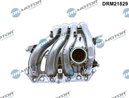 Колектор впускний DR. MOTOR DRM21829