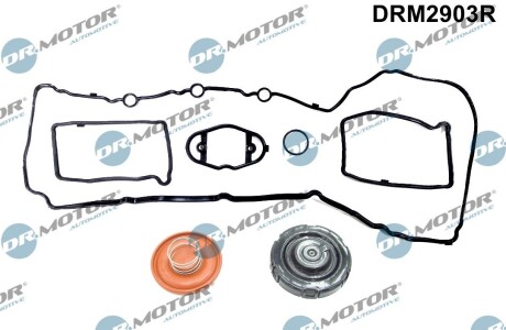 Комплект прокладок з різних матеріалів DR. MOTOR DRM2903R