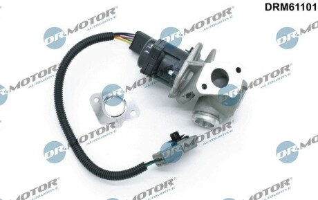 Клапан рециркуляції газів DR. MOTOR DRM61101