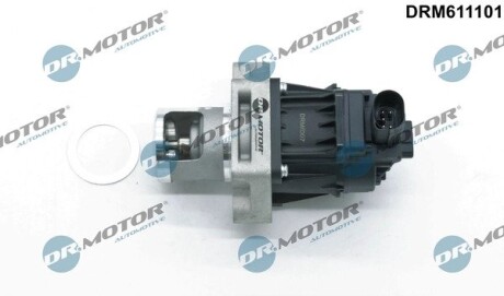 Клапан рециркуляції газів DR. MOTOR DRM611101