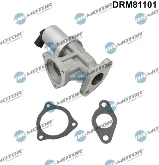 Клапан рециркуляції газів DR. MOTOR DRM81101