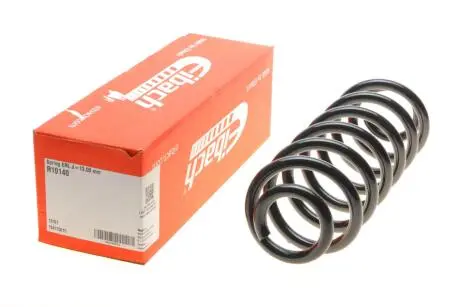 Пружина (задня) VW Passat B6 1.4-1.8TSI/1.6-2.0FSI/1.9-2.0TDI 05-11 (седан/унів.)/Tiguan 07-18 EIBACH R10140