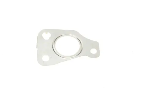 Прокладка турбіни Fiat Doblo 1.3D 07- (трубка на злив масла) ELRING 007.300