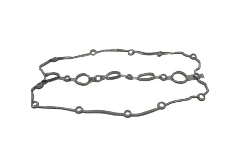 Прокладка клапанной крышки 2.5 (Passat B7 USA, Jetta 6) ELRING 047.420