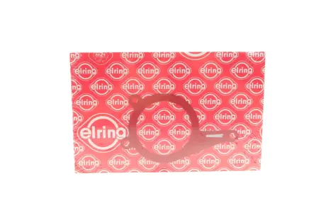 Прокладка насосу вакуумного Audi A6 2.8-3.2 FSI 08-/ Q5/ Q7 3.0-3.2 FSI 08- ELRING 254.250