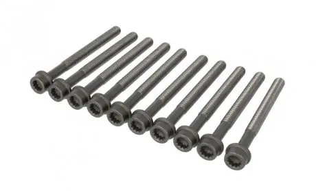 Комплект болтов головки цилидра ELRING 323.300