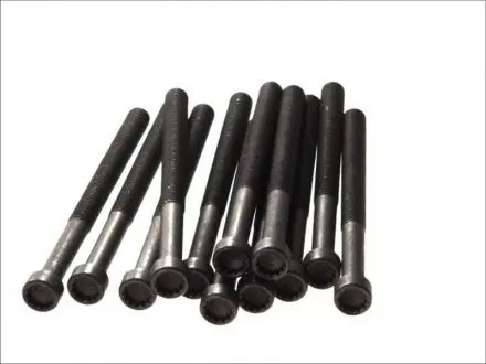Болты гбц vag 2.5tdi axd/axe/bac/blj/blk/bnz/bpc/bpd/bpe ELRING 326.430