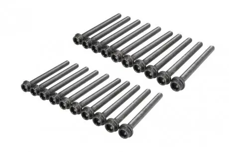 Комплект болтів гбц audi a3/tt/vw golf v/touareg/t5/porsche cayenne 3,2 v6 02- ELRING 332830
