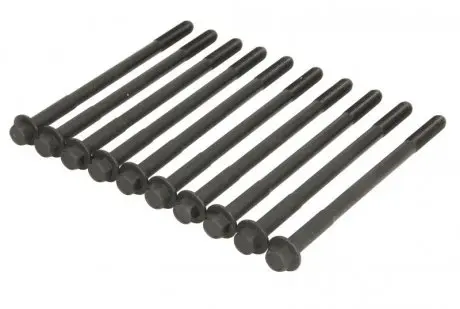 Болти головки блоку ELRING 356.390