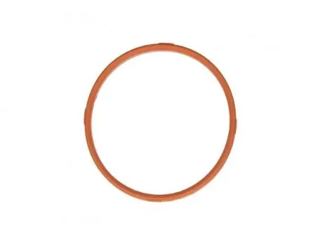 Прокладка впускного коллектора ELRING 359.380