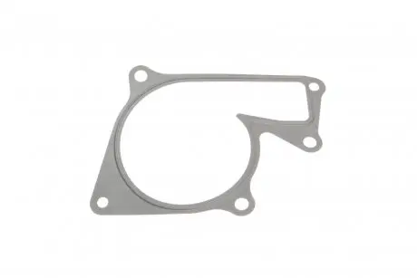 Прокладка водяної помпи ELRING 449.510