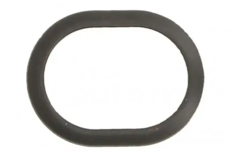 Кільце ущильнювач PORSCHE 07- ELRING 482260