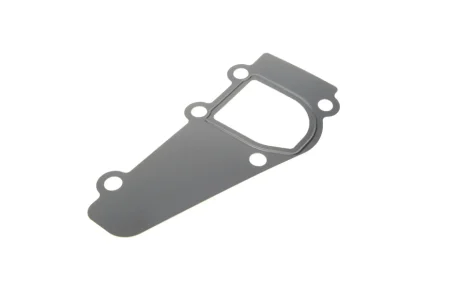 Прокладка водяної помпи ELRING 490.671