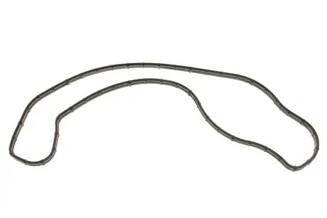 Прокладка системи охолодження ELRING 568.900