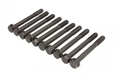 Болты гбц ELRING 707.650