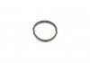 Кольцо резиновое ELRING 725.210 (фото 1)