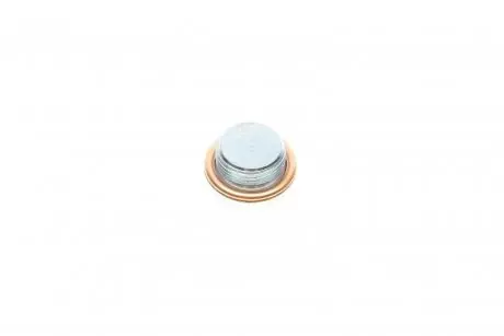 Болт зливу оливи VW Phaeton/Touareg 3.0/4.2 02-16 ELRING 878.100