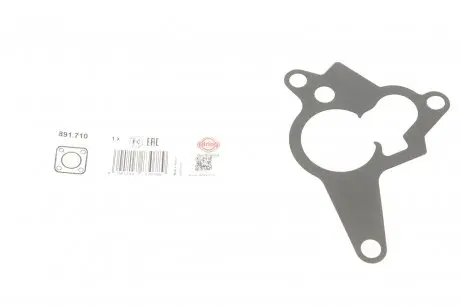 Прокладка насоса ELRING 891.710