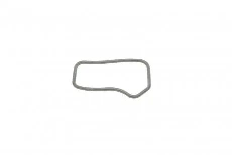 Прокладка системи охолодження ELRING 927.280