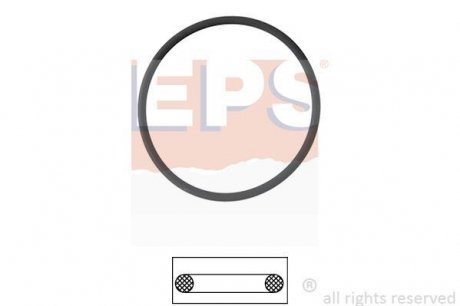 Прокладка термостата EPS 1.890.550 (фото 1)