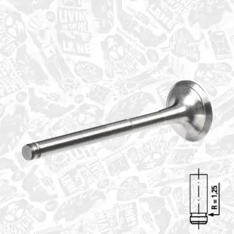 Выпускной клапан ET ENGINETEAM VE0031