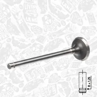 Выпускной клапан ET ENGINETEAM VE0045