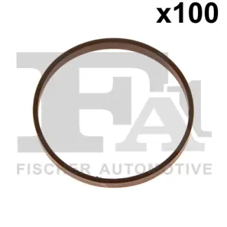 Ущільнювальне кільце FPM 48,40 x 51,80 x 5,20 FA1 076504100