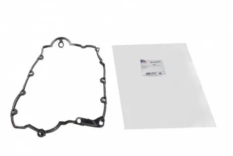 Прокладка крышки головки VAG FA1 EP1100-917