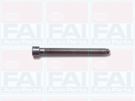 К-кт болтів Г/Б (10шт) 1.8 VW Passat B5 /Audi A4, A6 FAI AutoParts B1006