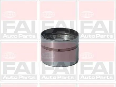 Гідрокомпенсатор Bmw/MB/Kia Bmw M50 95-/M52 /MB OM611 FAI AutoParts BFS105