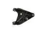 Рычаг передний правый нижний DACIA Logan 04-12, SANDERO 07-13 FAST FT15607 (6001547519, 6001550447, 6001550910) (фото 1)
