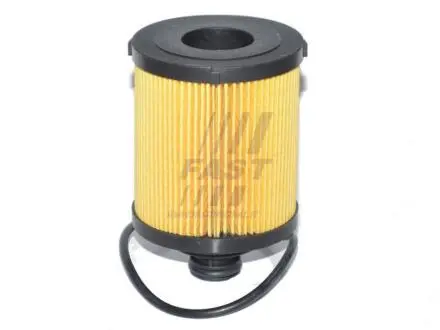 Фильтр масляный 1.3mjet ft fiat doblo 00-09, doblo 09-, fiorino 07- FAST FT38068