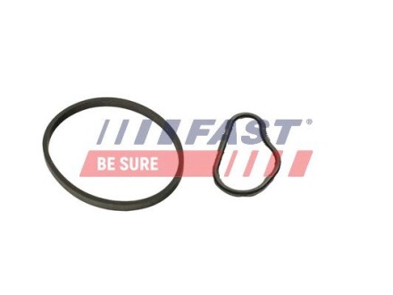 К-кт прокладок вакуум. насос (к-кт 2шт) CITRO?N BERLINGO 1.6HDi 08- FORD TRANSIT CONNECT 1.5/1.6TDCi 13- PEUGEOT RIFTER 1.6HDi 18- FAST FT48943