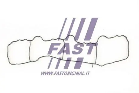 Прокладка впускного коллектора FAST FT49430