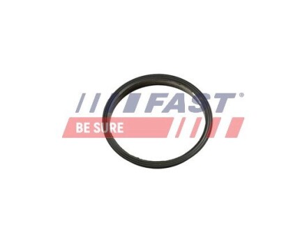 Прокладка вакуумного насоса Fiat Ducato/ Peugeot Boxer/Ford Transit 2.2HDi/TDCi 06- FAST FT49853 (фото 1)