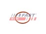 Прокладка вакуум. насос (вел.) CITRO?N BERLINGO 1.6HDi 08- FORD TRANSIT CONNECT 1.5/1.6TDCi 13- PEUGEOT RIFTER 1.6HDi 18- FAST FT50701 (фото 1)