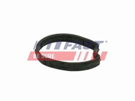 Прокладка корпусу термостата Ford C-Max, Focus C-Max, Focus I, Focus Ii, Galaxy Ii, Mondeo Iv, S-Max, Tourneo Connect, Transit Connect 1.8D 10.98-06.15 FAST FT58301