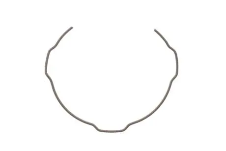 Пружина синхронізатора КПП (1, 2, 3 передачі) Peugeot/Citroen 307/407/Jumpy III/Expert III FAST FT62004