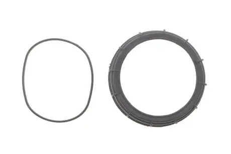 Крышка индикатора (датчика) уровня топлива в баке (гайка с уплотнительным кольцом) FAST FT94649