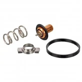 Термостат Fiat FEBI BILSTEIN 173111