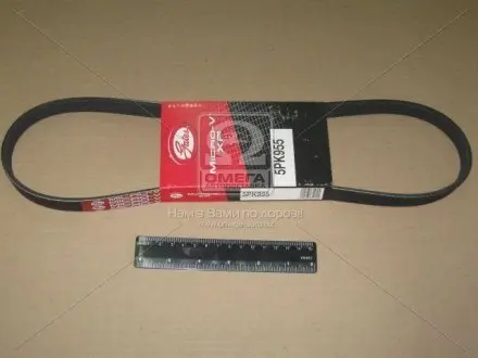 Ремінь поліклиновий Gates 5PK955
