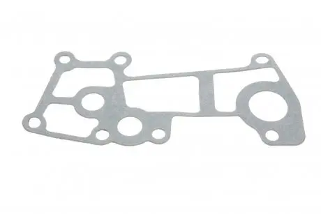 Прокладка радіатора масляного Citroen Jumper/Fiat Ducato/Iveco Daily 3.0 D 06- GAZO GZ-A1534