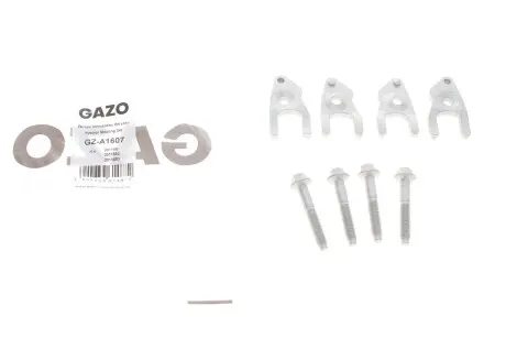 Болт кріплення форсунки Ford Transit 2.2 TDCi 11-18 (+ кронштейн)/(к-кт на 4 шт) GAZO GZ-A1607