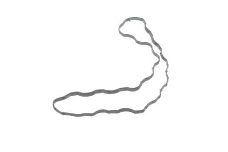 Прокладка клапанной крышки GM 12636384