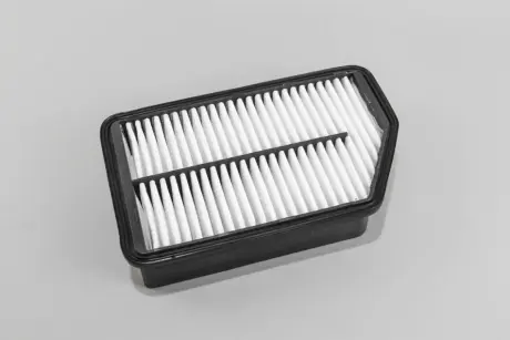 Фільтр повітряний Hyundai i10/Ceed/Cerato 1.4-2.0 11- Goodrem RF1713WB