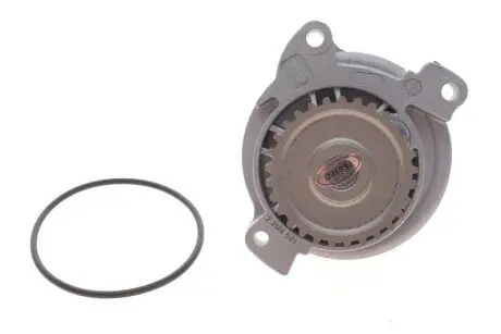 Помпа воды GRAF PA591