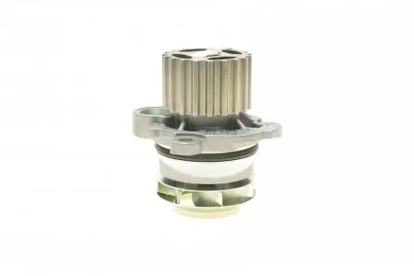 Насос водяний HEPU P569