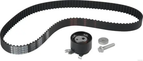 Роликовий модуль натягувача ременя (ролик, ремінь) HERTH+BUSS JAKOPARTS J1111047