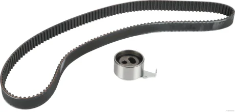 Роликовий модуль натягувача ременя (ролик, ремінь) HERTH+BUSS JAKOPARTS J1113047