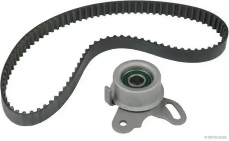 Роликовий модуль натягувача ременя (ролик, ремінь) HERTH+BUSS JAKOPARTS J1115002